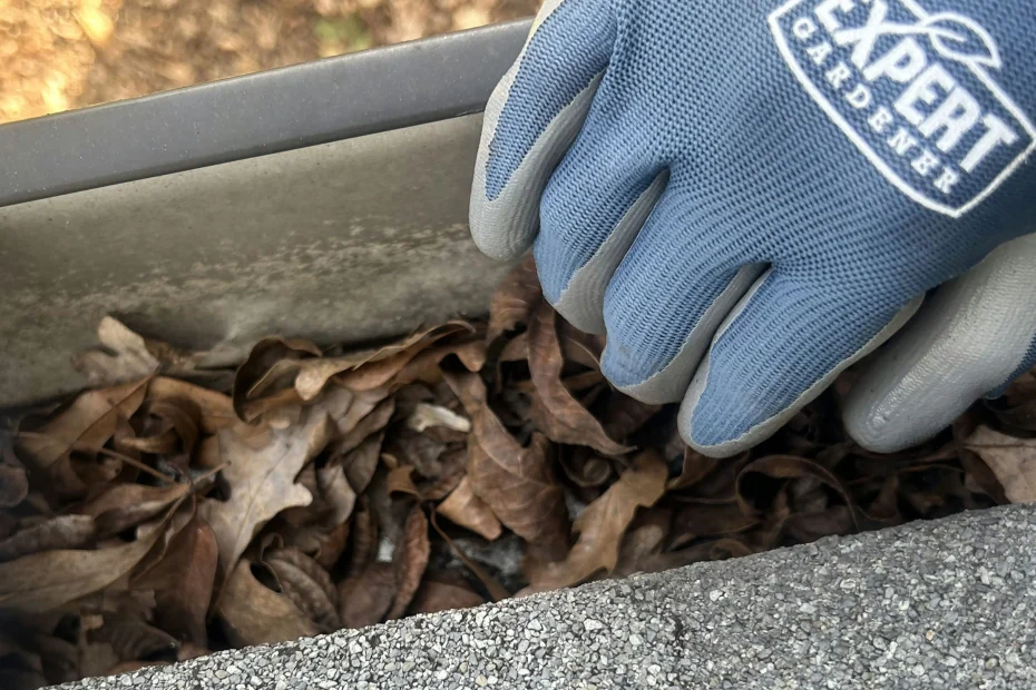 Gutter Cleaning Centennial