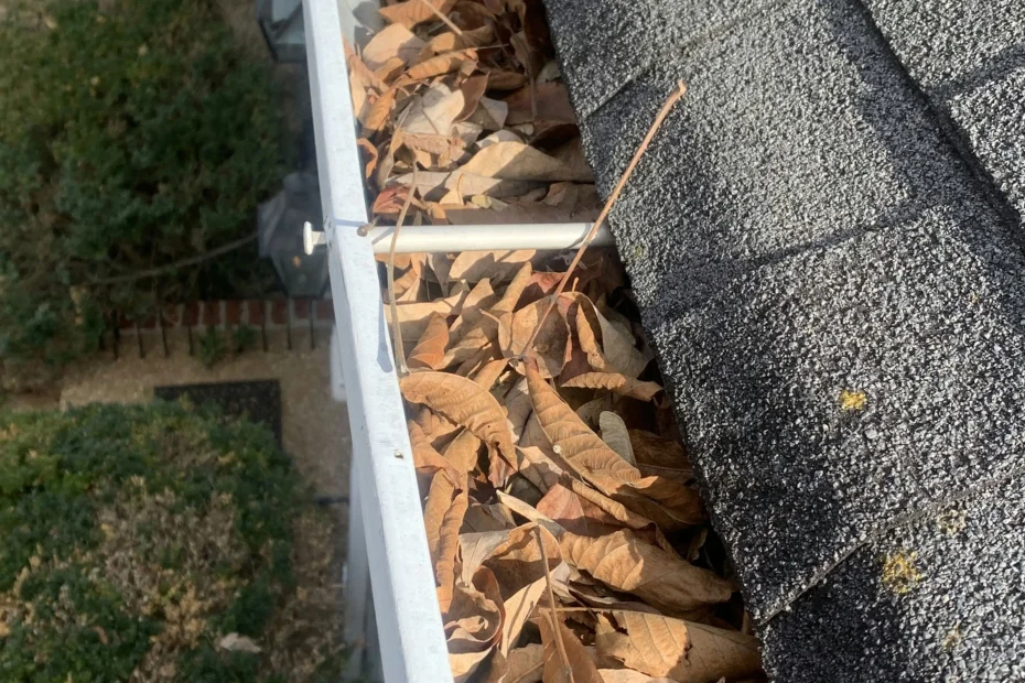 Gutter Cleaning Centennial