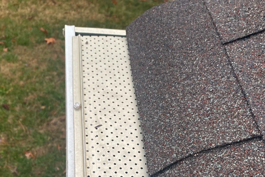 Gutter Cleaning Centennial