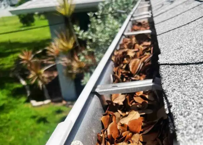 Gutter Cleaning Centennial home page